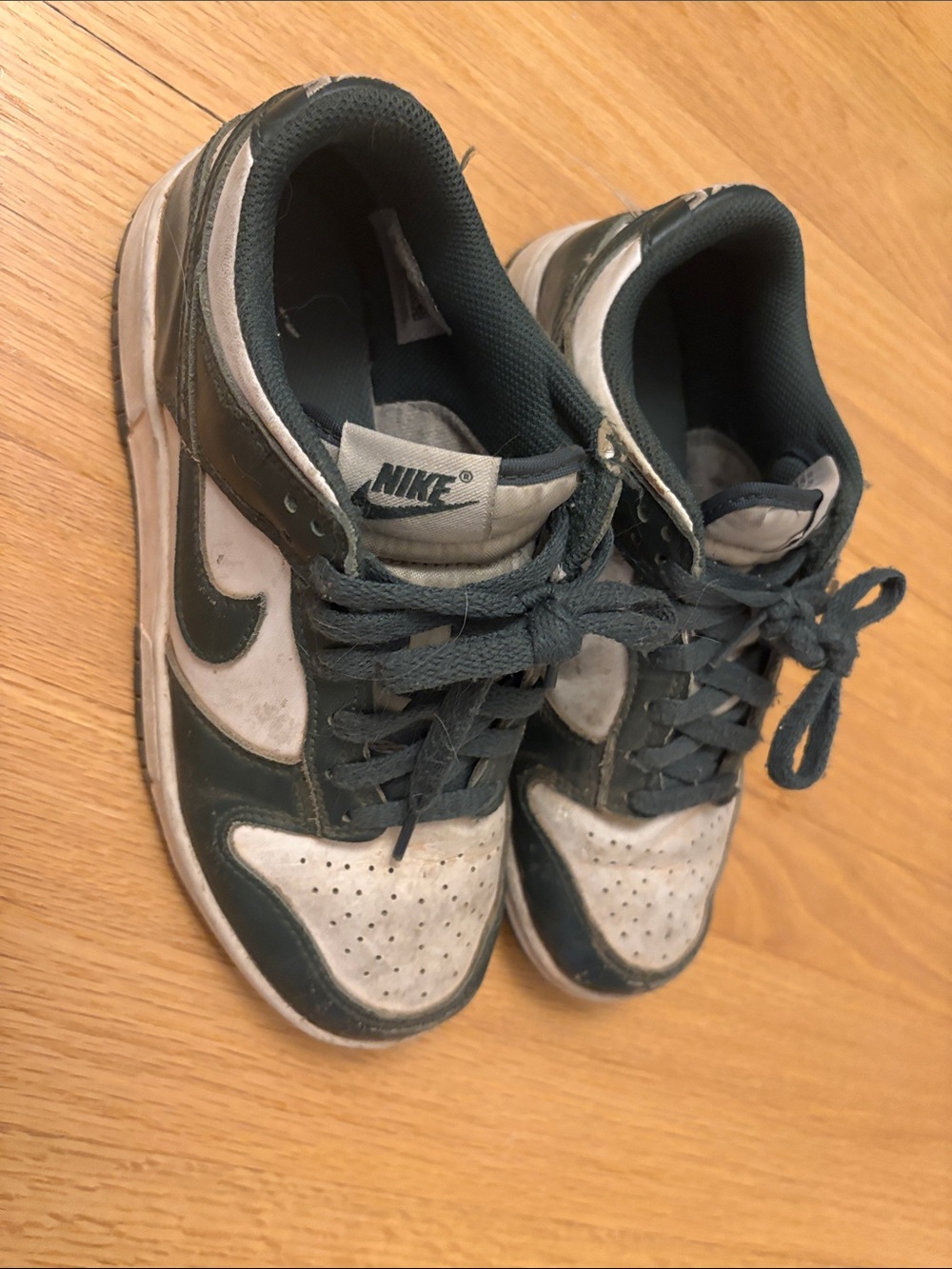 Nike Kids Low dunkSneakers in White and Dark Green